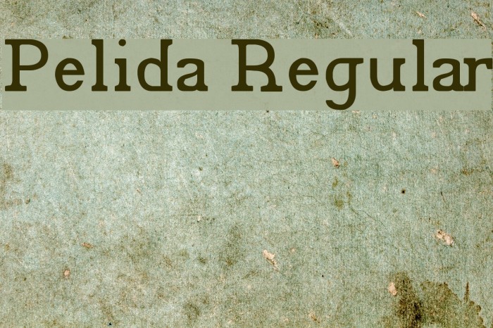 Pelida Regular Font examples