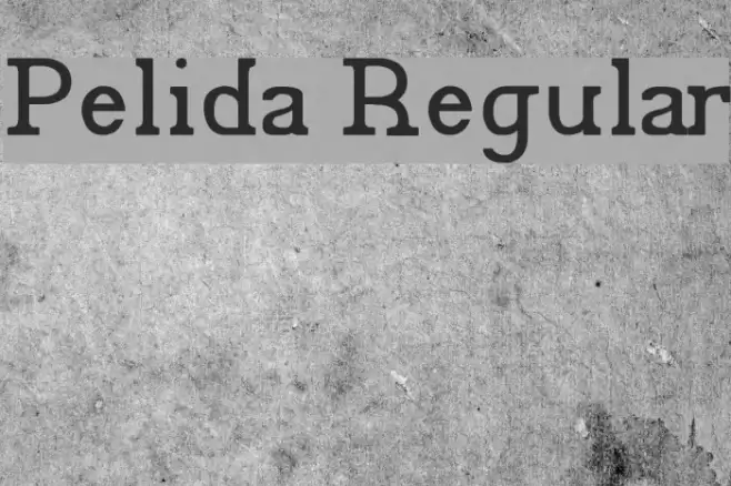 Pelida Regular Font examples
