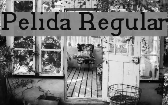 Pelida Regular Font examples