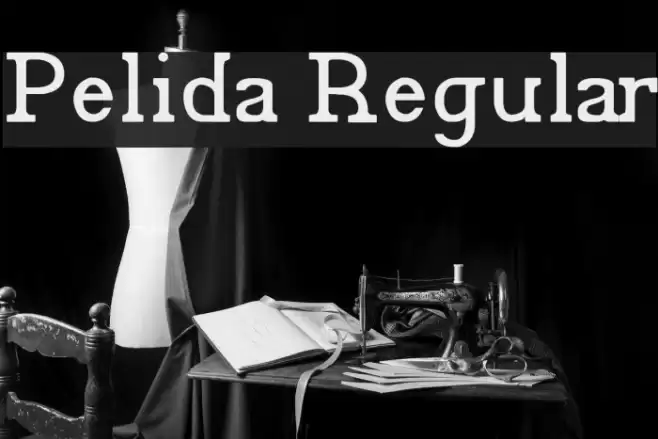 Pelida Regular Font examples