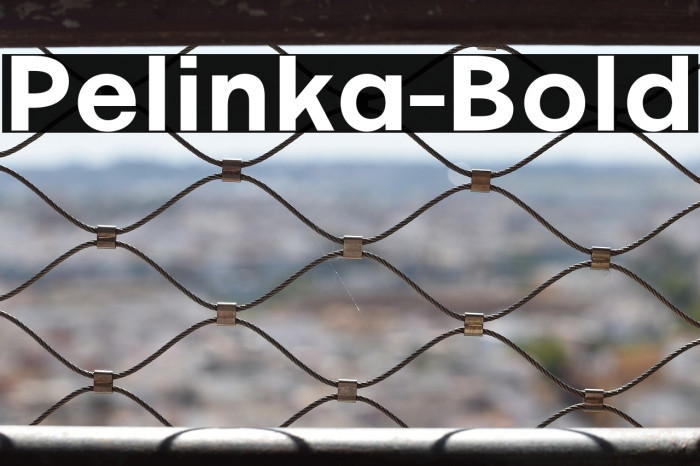 Pelinka-Bold Example 1