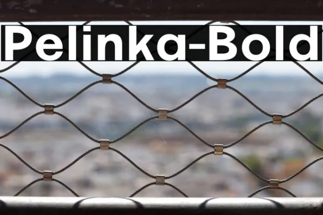 Pelinka-Bold Example 1