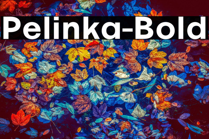 Pelinka-Bold Example 2