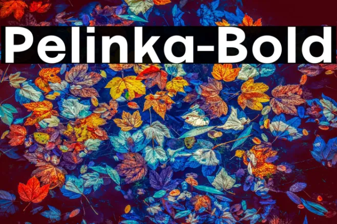 Pelinka-Bold Example 2