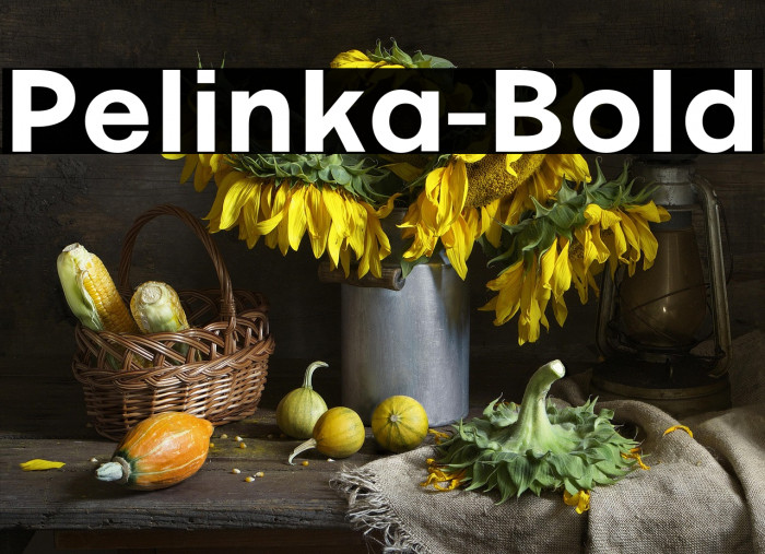 Pelinka-Bold Example 3