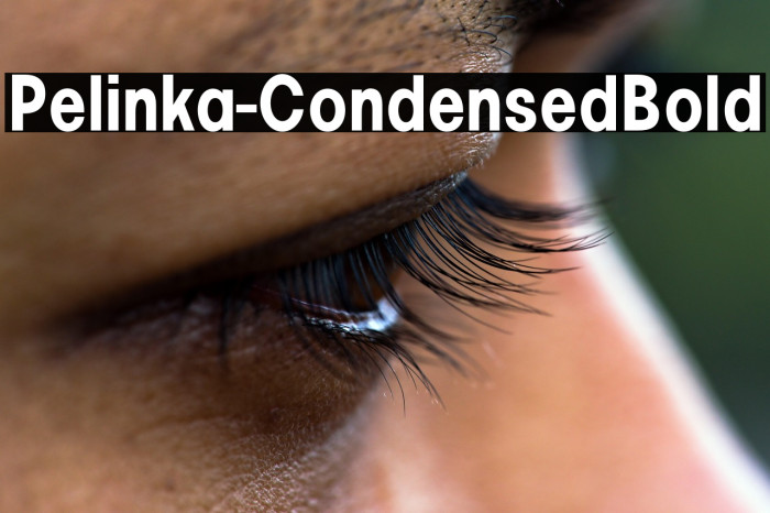 Pelinka-CondensedBold Example 1