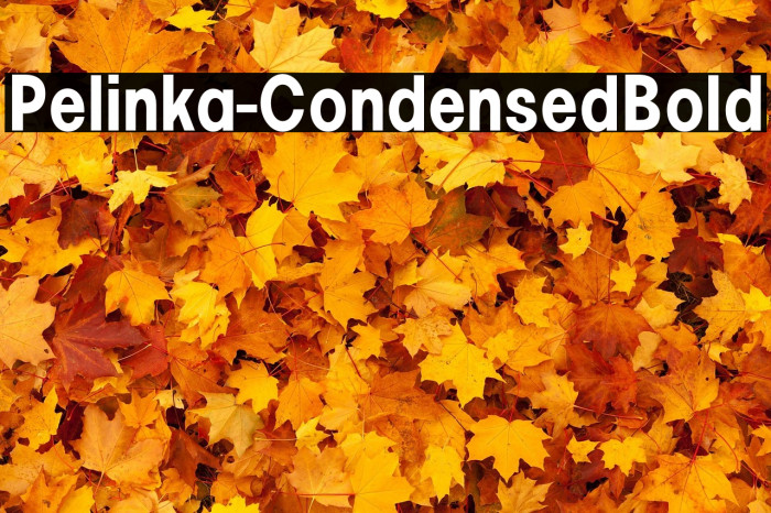 Pelinka-CondensedBold Example 3