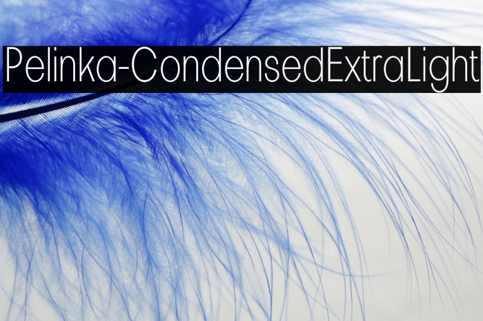 Pelinka-CondensedExtraLight Example 2