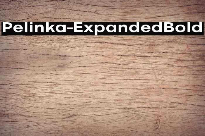 Pelinka-ExpandedBold Example 1