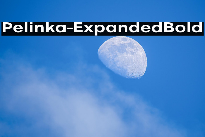 Pelinka-ExpandedBold Example 2