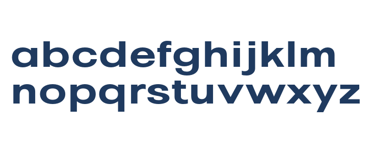 Pelinka-ExpandedBold Lowercase