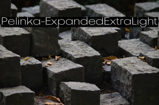 Pelinka-ExpandedExtraLight Example 1