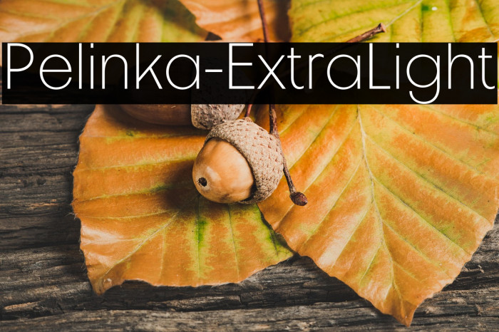 Pelinka-ExtraLight Example 2