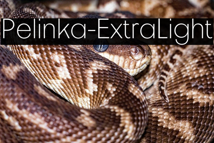 Pelinka-ExtraLight Example 3