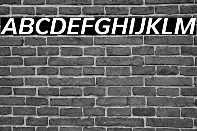 PelitaGrandeStd-BoldItalic Font examples