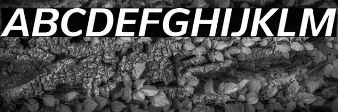 PelitaGrandeStd-BoldItalic Font examples