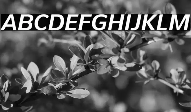 PelitaGrandeStd-BoldItalic Font examples