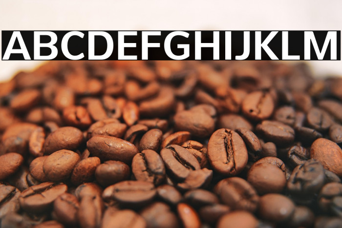 PelitaGrandeStd-Bold Example 3