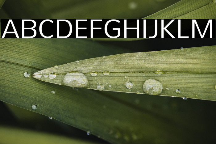 PelitaGrandeStd-Regular Example 2