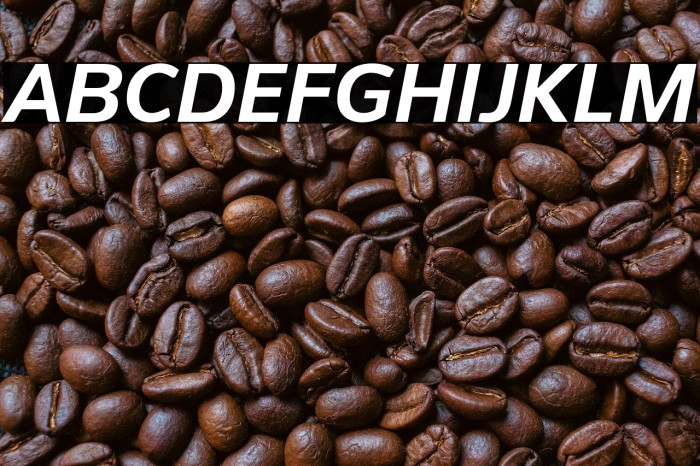 PelitaStd-BoldItalic Example 1