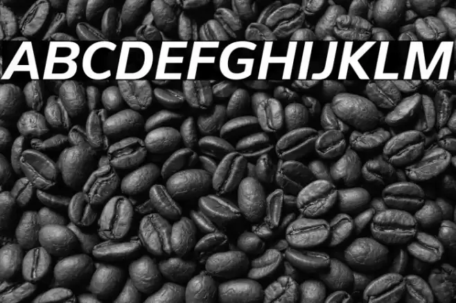 PelitaStd-BoldItalic Font examples