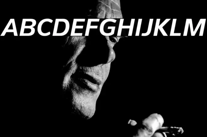 PelitaStd-BoldItalic Font examples