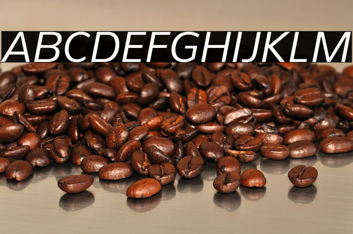 PelitaStd-Italic Example 1