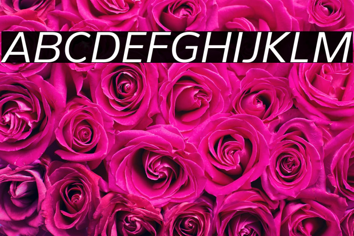 PelitaStd-Italic Example 2