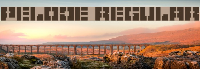 Pelode Regular Example 1