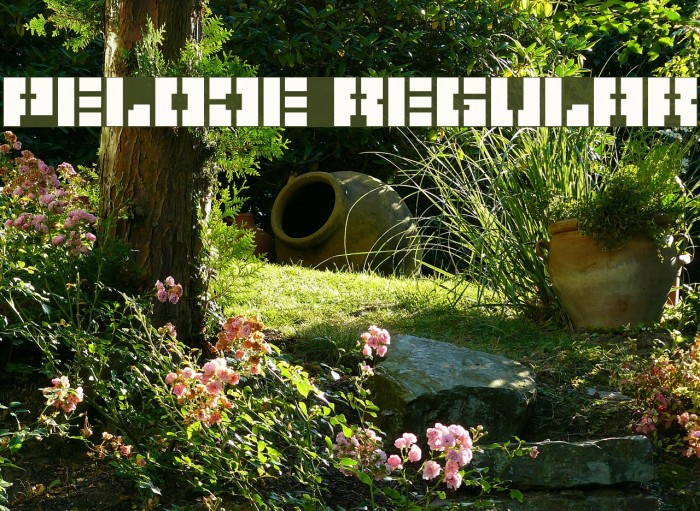 Pelode Regular Example 2