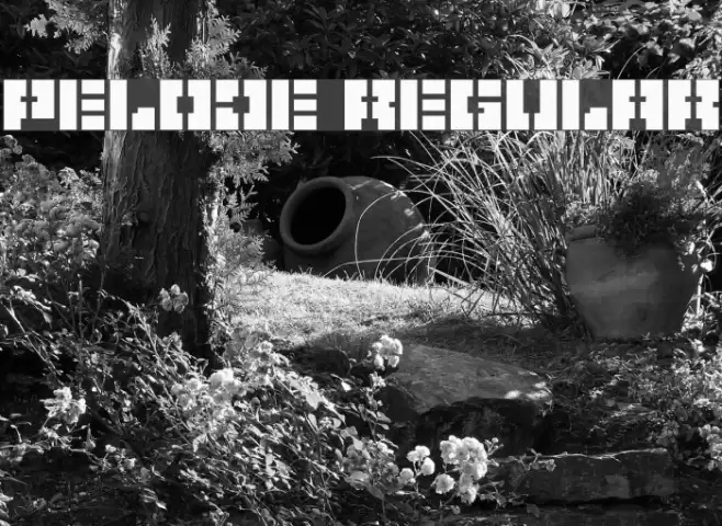 Pelode Regular Font examples