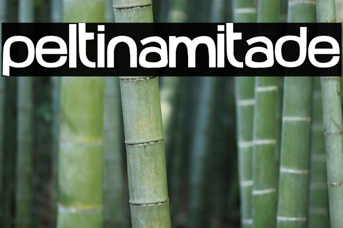 Peltinamitade Font examples
