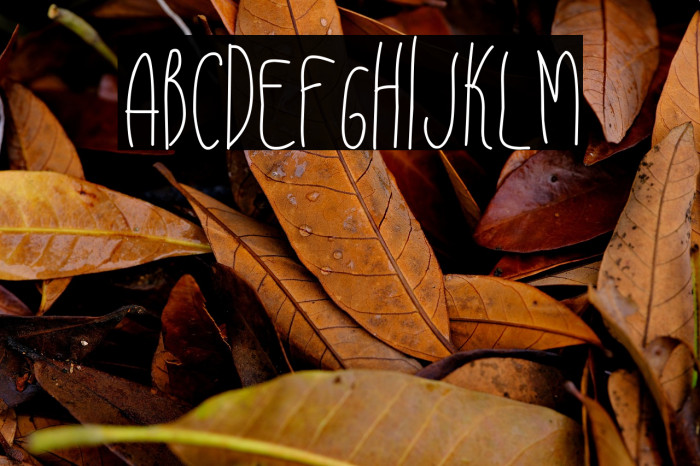 Pemburu Senja Example 2