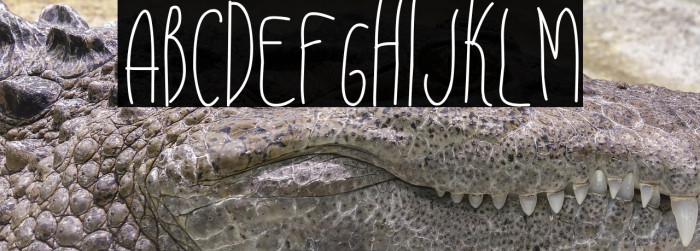 Pemburu Senja Example 3