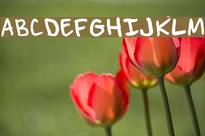 Pen of Truth Font examples
