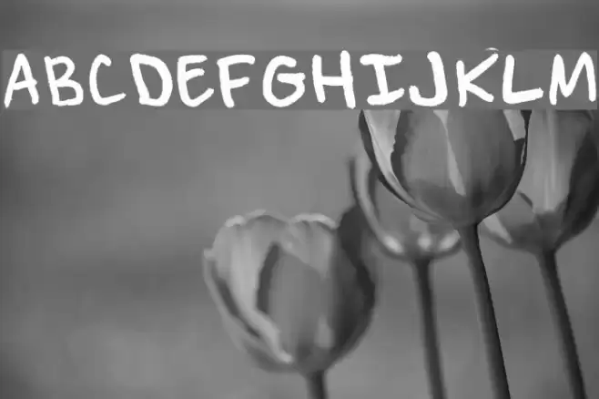 Pen of Truth Polices examples