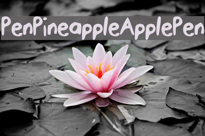 PenPineappleApplePen Font examples