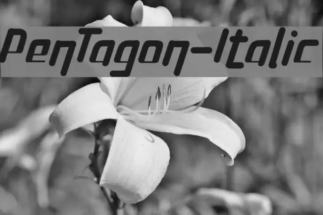 PenTagon-Italic Font examples