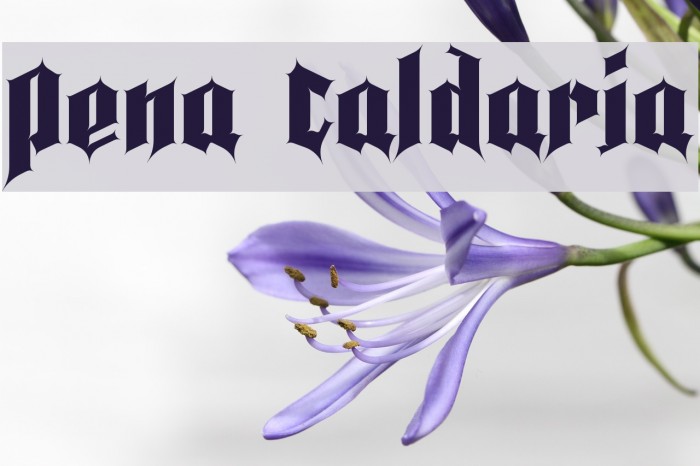 Pena Caldaria Example 2