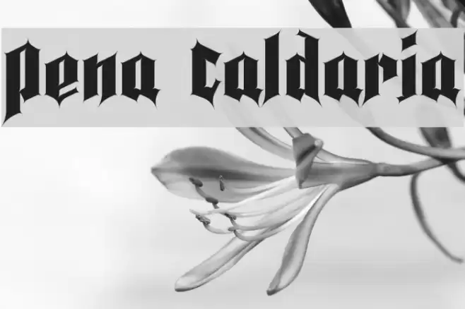 Pena Caldaria Font examples