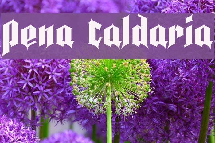 Pena Caldaria Example 3