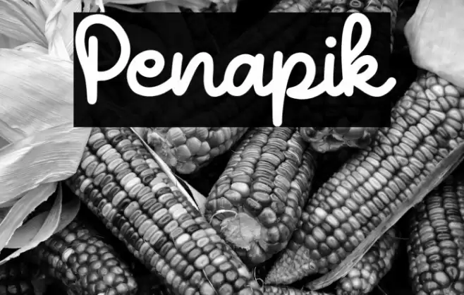Penapik Шрифта examples