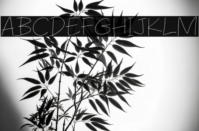 Penchill Gage Example 2