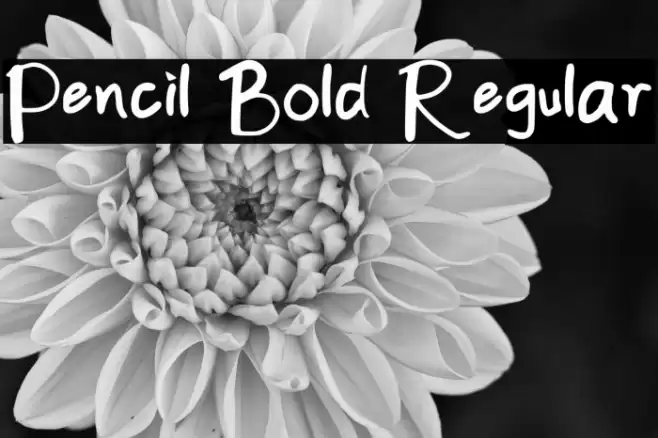 Pencil Bold Regular Font examples