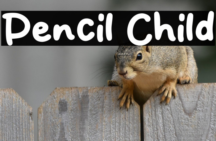 Pencil Child Example 1