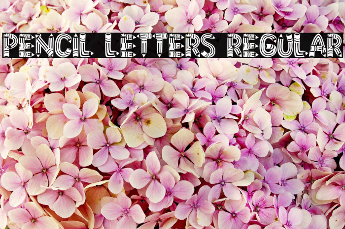 Pencil Letters Regular Font examples