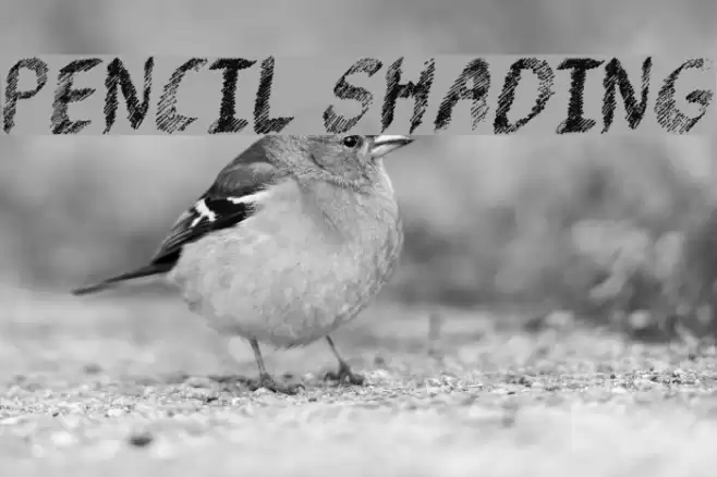 Pencil Shading Font examples