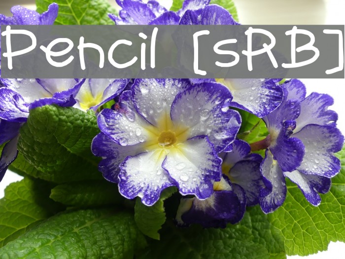 Pencil [sRB] Caratteri examples