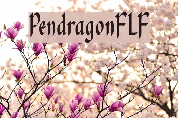 PendragonFLF Font examples