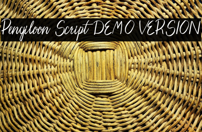 Pengiloon Script [DEMO VERSION] Example 1